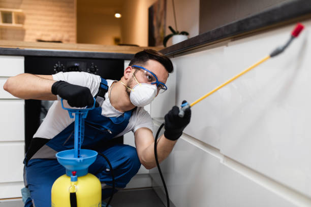 Best Best Pest Control Companies  in Red Wing, MN