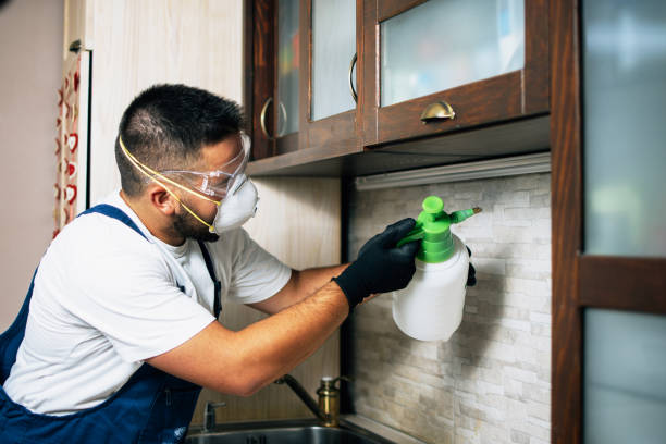 Best Termite Control Services  in Red Wing, MN