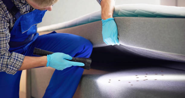 Best Best Pest Control Companies  in Red Wing, MN